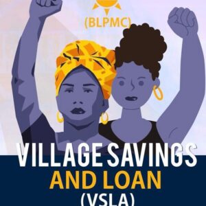 Village Savings and Loan Association Program (VSLA)