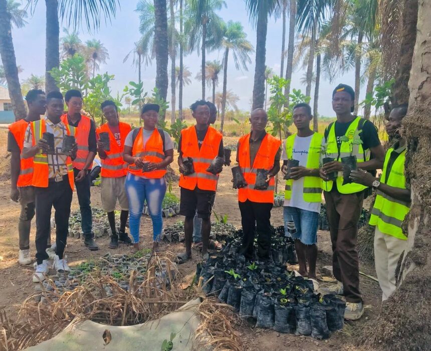 Bright Light Projects Launches “Reforestation Hope” on International Day of Forests 2025 in Bombali