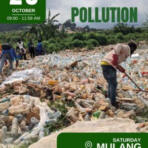 Bright Light Projects Champions Routine Plastic Clean-Up and Recycling in Bamenda, Cameroon with other Partners – October 26, 2024