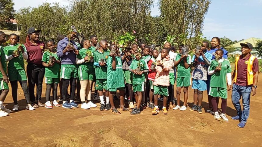 Planting Seeds of Change: Reforestation Hope Project Takes Root in Bamenda, Cameroon in Partnership with New Vision for an Eco-friendly Environment