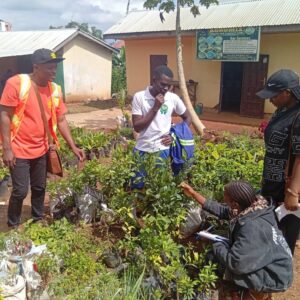Bright Light Projects Interns from the University of Bamenda on Reforestation and Community Resilience