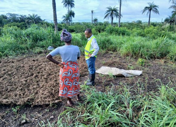 From Groundnut Harvest to Cassava: BLP’s VSLA Smart Agriculture Initiative Enters Its Next Phase From Groundnut Harvest to Cassava: BLP’s VSLA Smart Agriculture Initiative Enters Its Next Phase
